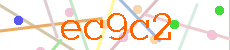 Verificador