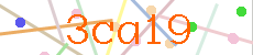 Verificador