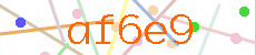 Verificador