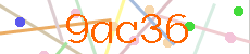 Verificador