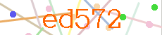 Verificador