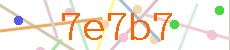 Verificador