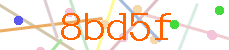 Verificador