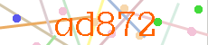Verificador
