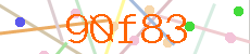 Verificador