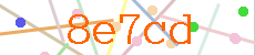 Verificador