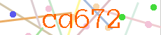 Verificador