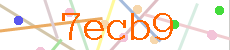 Verificador