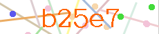 Verificador