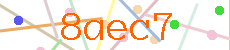 Verificador