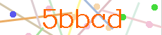 Verificador