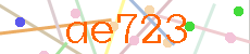 Verificador