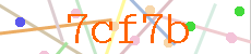 Verificador