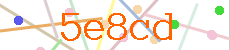 Verificador