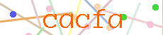 Verificador