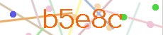 Verificador