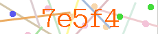 Verificador