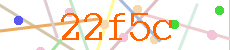 Verificador