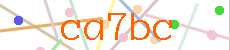 Verificador