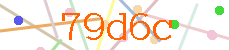 Verificador