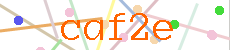 Verificador