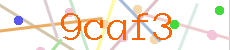 Verificador