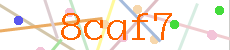 Verificador