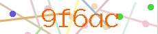 Verificador