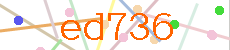 Verificador