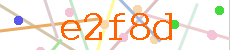 Verificador