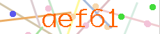 Verificador
