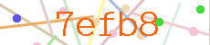 Verificador