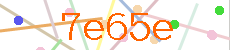 Verificador
