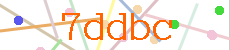 Verificador