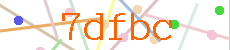 Verificador
