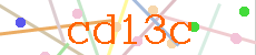 Verificador