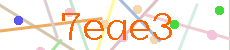 Verificador