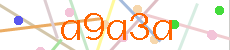 Verificador