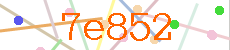 Verificador