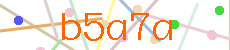 Verificador
