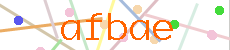 Verificador