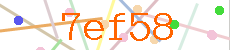 Verificador
