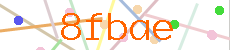 Verificador