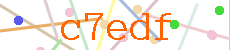 Verificador