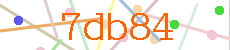 Verificador