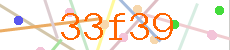 Verificador