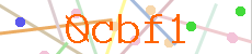 Verificador