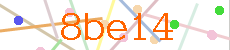 Verificador