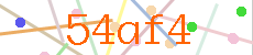 Verificador