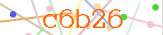 Verificador